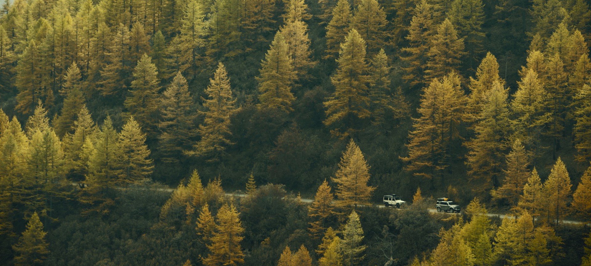 Car driving down a forest road.