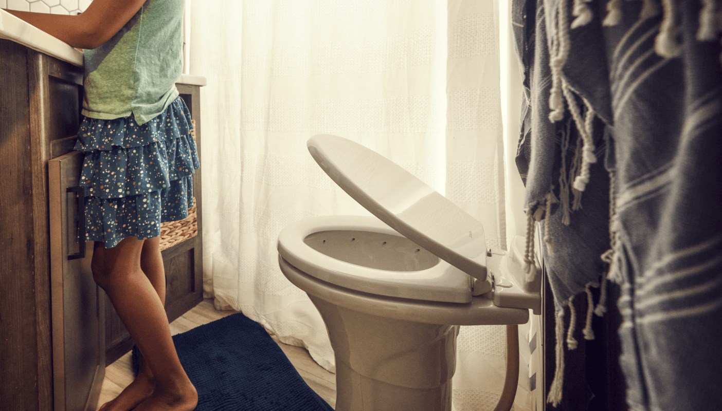 RV Toilets Dometic Dometic United Kingdom