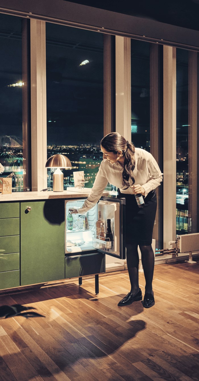 Dometic minibar fridge deals