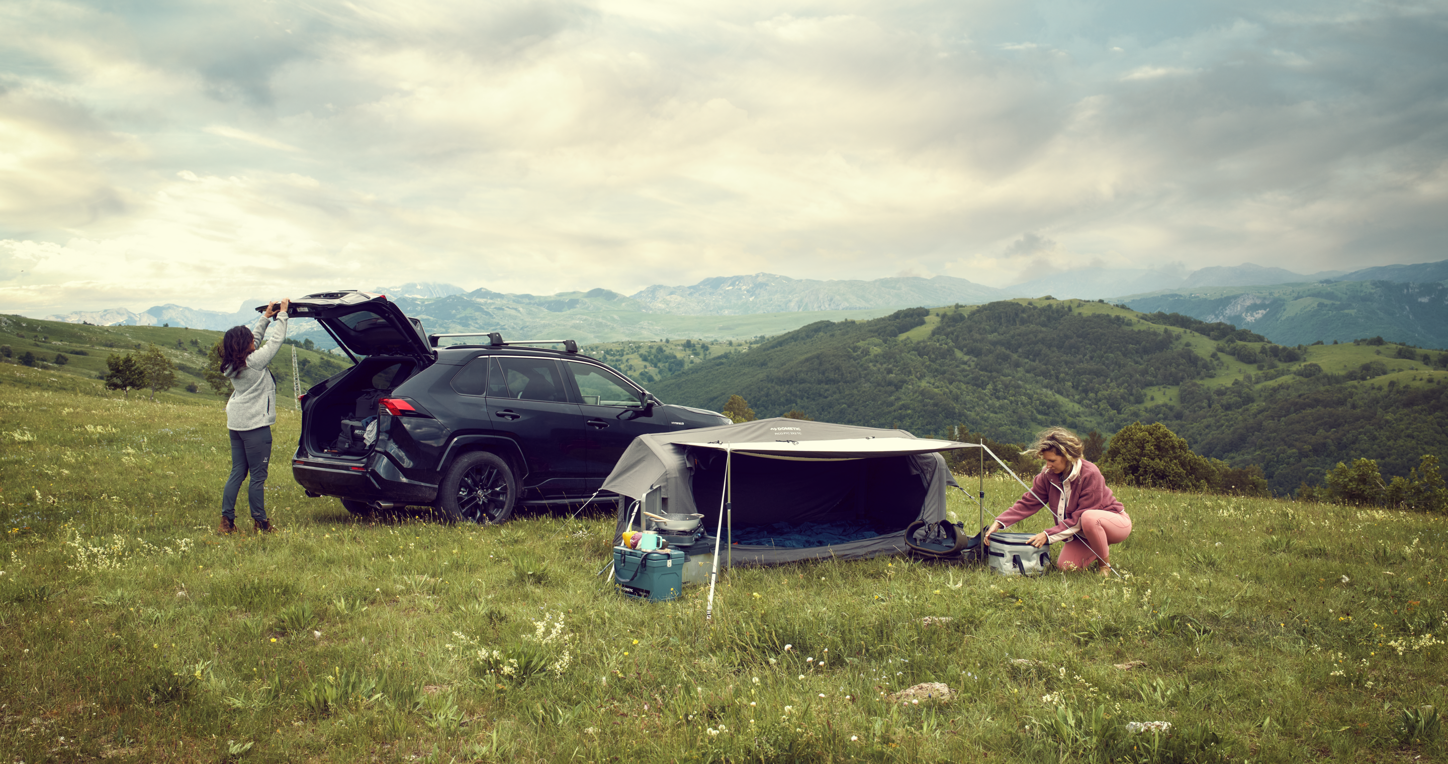 Out the car into nature