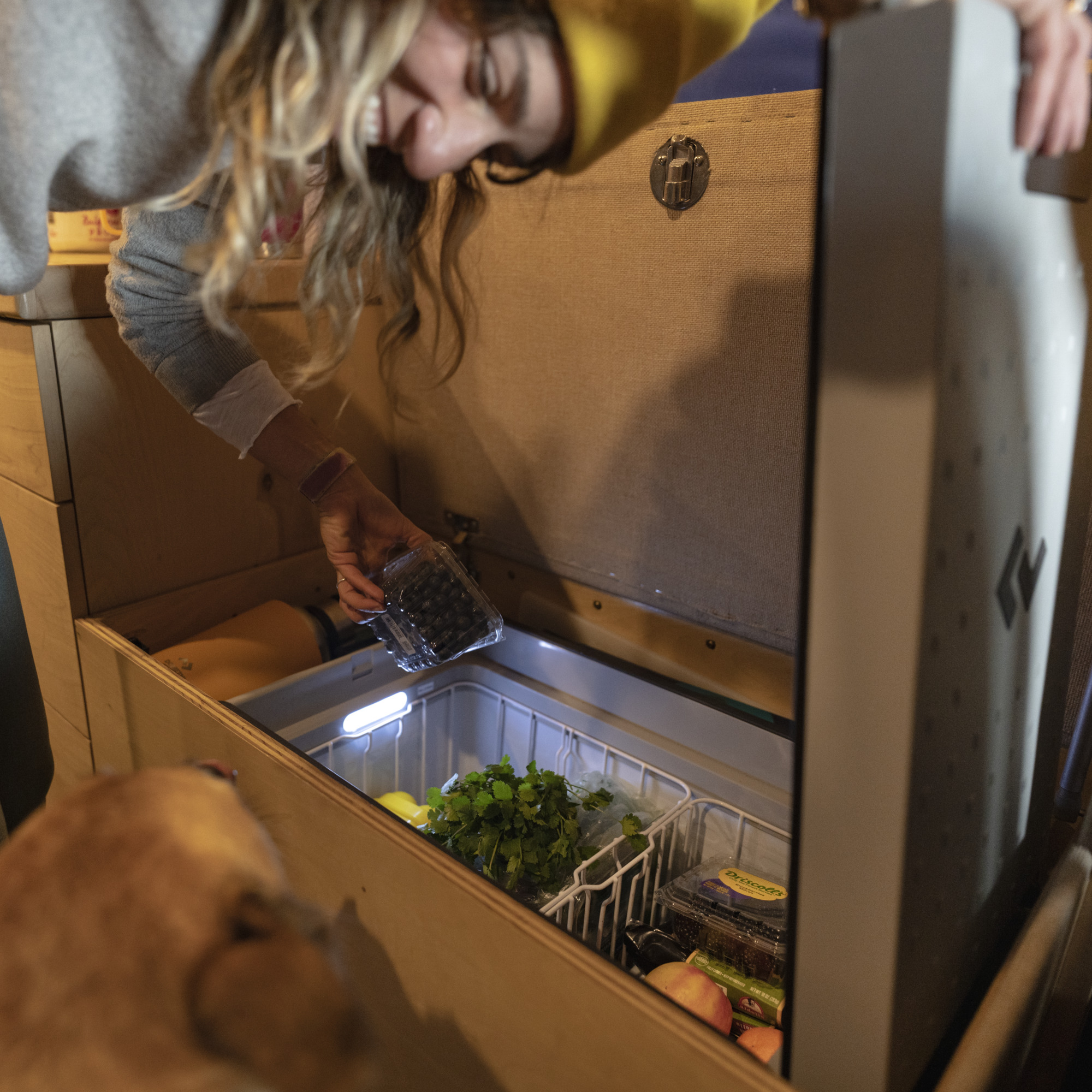 fresh food inside powered cooler